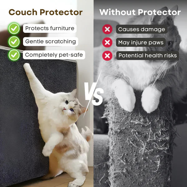 PurrSanctuary™ ClawGuard Shield
