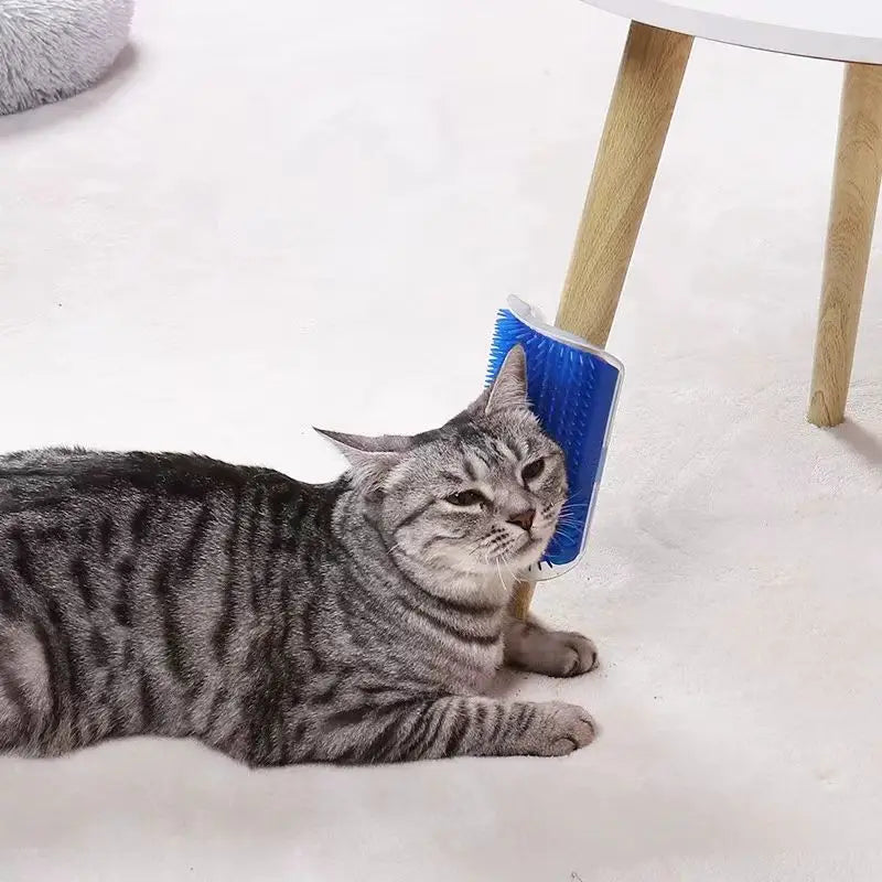 PurrSanctuary™ RubNest