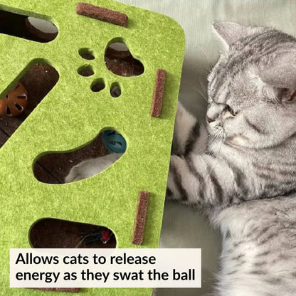 PurrSanctuary™ Cat Puzzle Maze