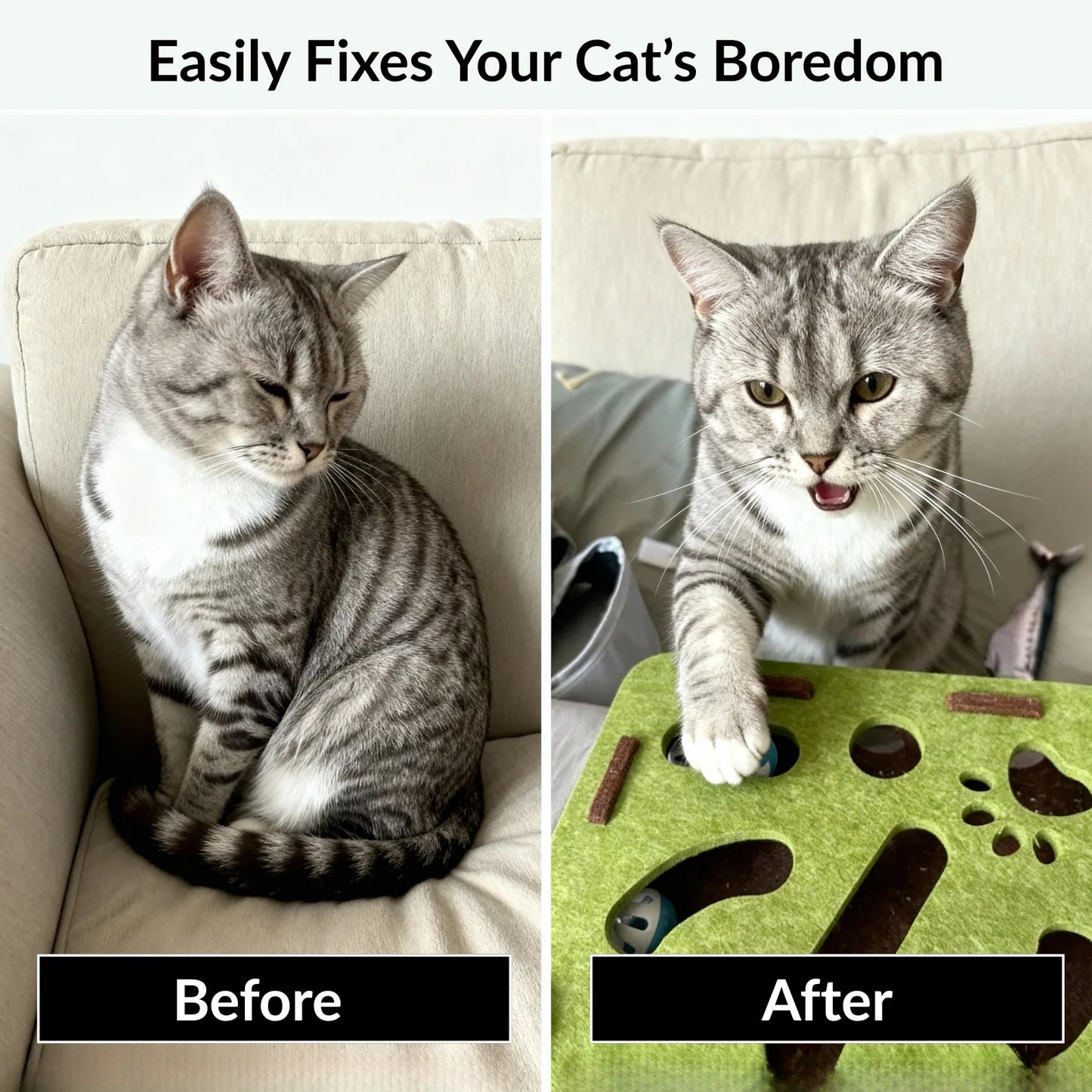 PurrSanctuary™ Cat Puzzle Maze