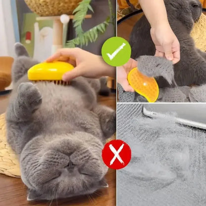 PurrSanctuary MistyGroomer