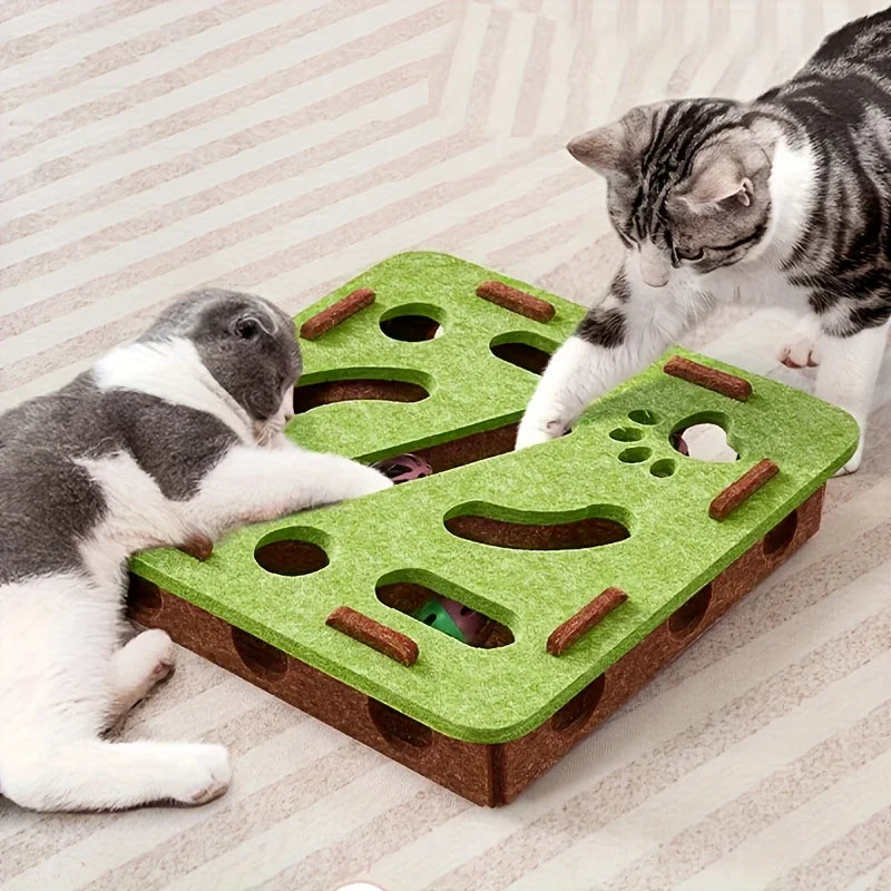 PurrSanctuary™ Cat Puzzle Maze